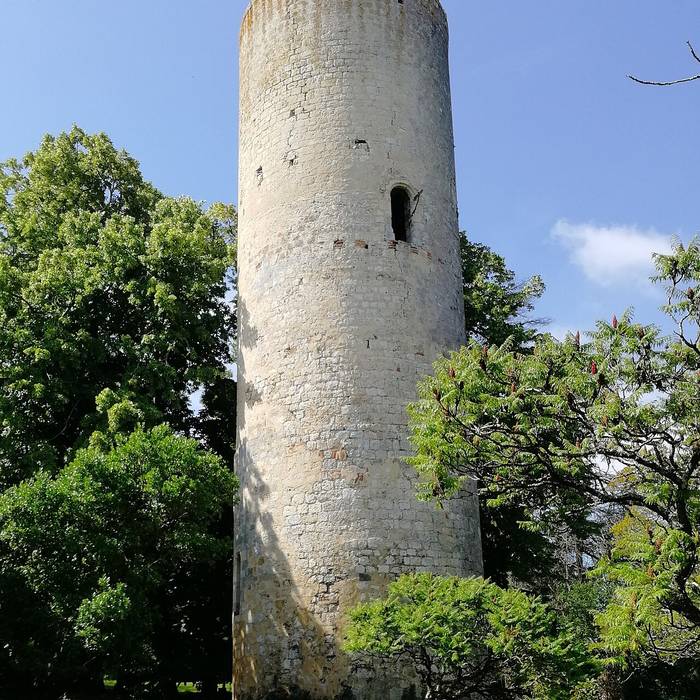Photo de Château de Buzet-sur-Baïse